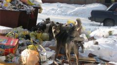 Как заключить договор на вывоз твердых отходов 
