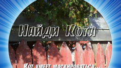 Как найти ответы на игру найди кота в одноклассниках (эпизод 2)