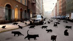 10 примет в дорогу, о которых стоит помнить