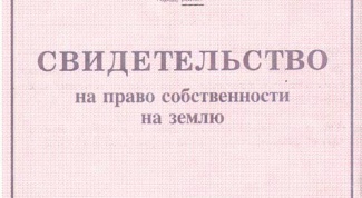 Как восстановить свидетельство на собственность